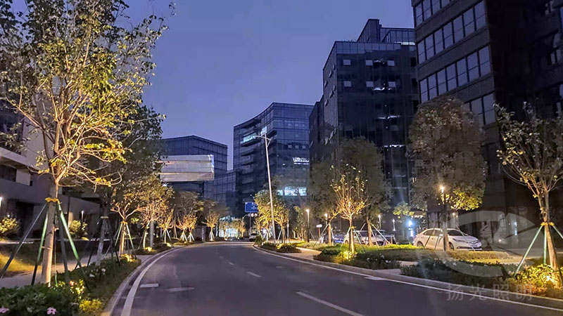 產業園夜景亮化工程實景圖